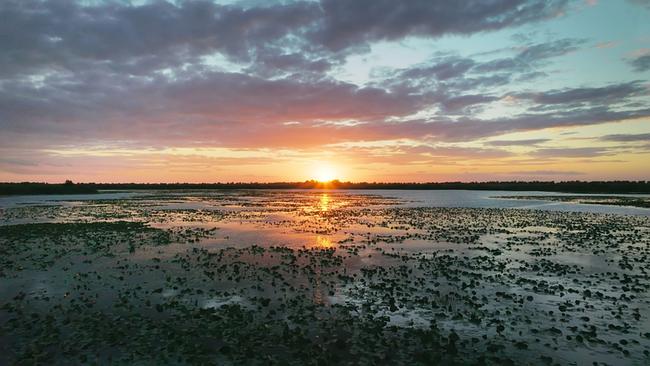 Eine weitläufige Wasserlandschaft mit unregelmäßigem Pflanzenbewuchs, die Sonne steht tief am Horizont und färbt den Himmel orange und rosa. Die Wolken am Himmel sind violett.
