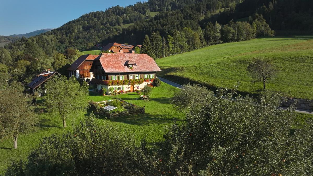 Ein Bauernhaus mit rotem Dach inmitten einer grünen Steuobstwiese. Hinter dem Haus beginnt der Wald, die Landschaft ist hügelig.