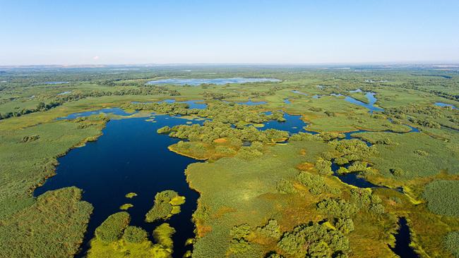 Das Donaudelta aus der Vogelperspektive, dunkelblaues Wasser und Schilfinseln breiten sich bis zum Horizont aus.