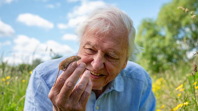 David Attenborough hält eine winzige Maus auf seinem Zeigefinger.